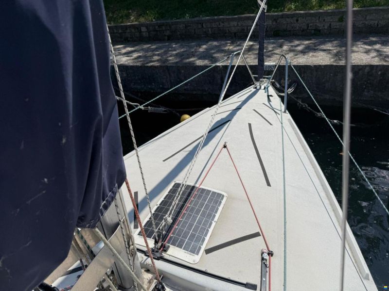 Dolphin 81 Jollenkreuzer
