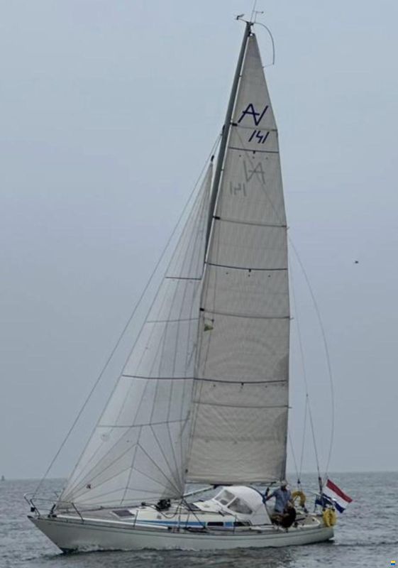 Avance 36