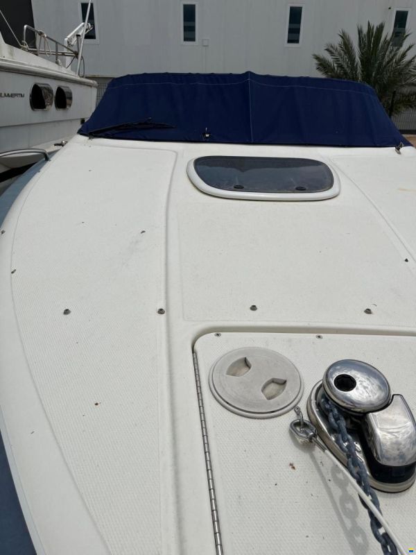 Sea Ray 240 Sse