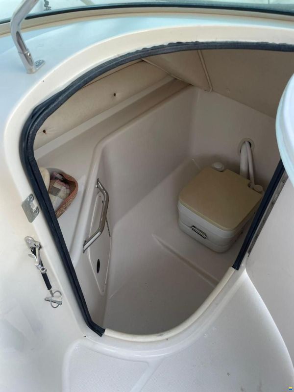 Sea Ray Sundeck 240
