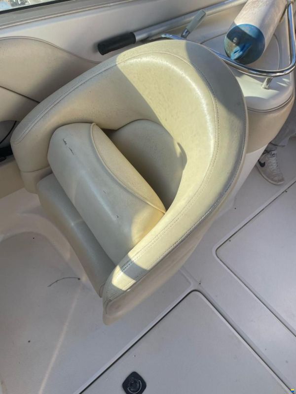 Sea Ray Sundeck 240