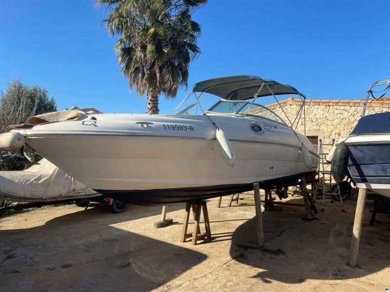 Sea Ray Sundeck 240