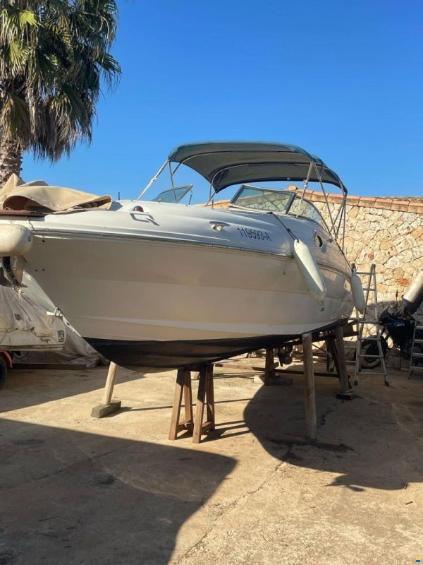 Sea Ray Sundeck 240