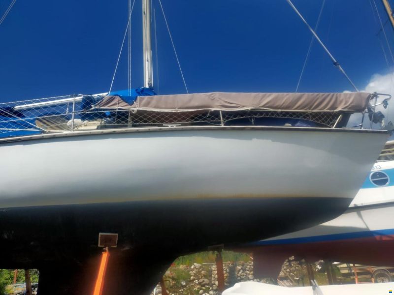 Westerly Storm 33
