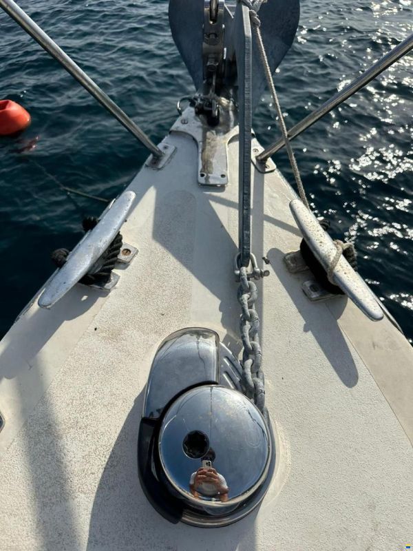 Plenamar 36