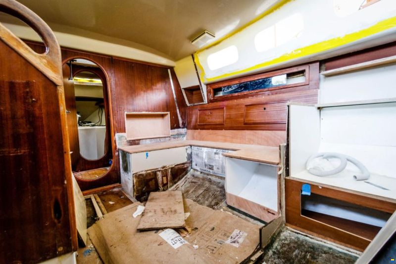 Tornado 31