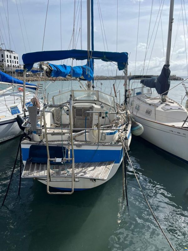 Hallberg-Rassy 31