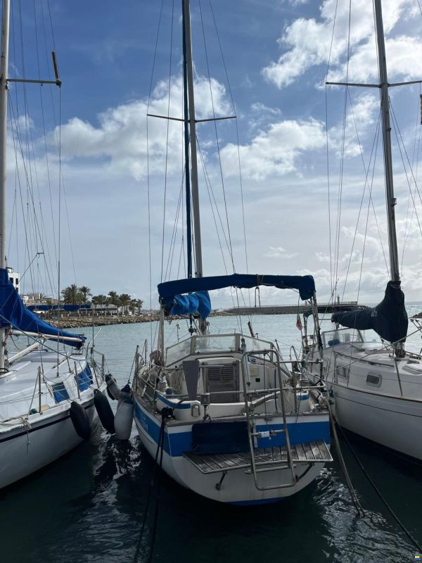 Hallberg-Rassy 31