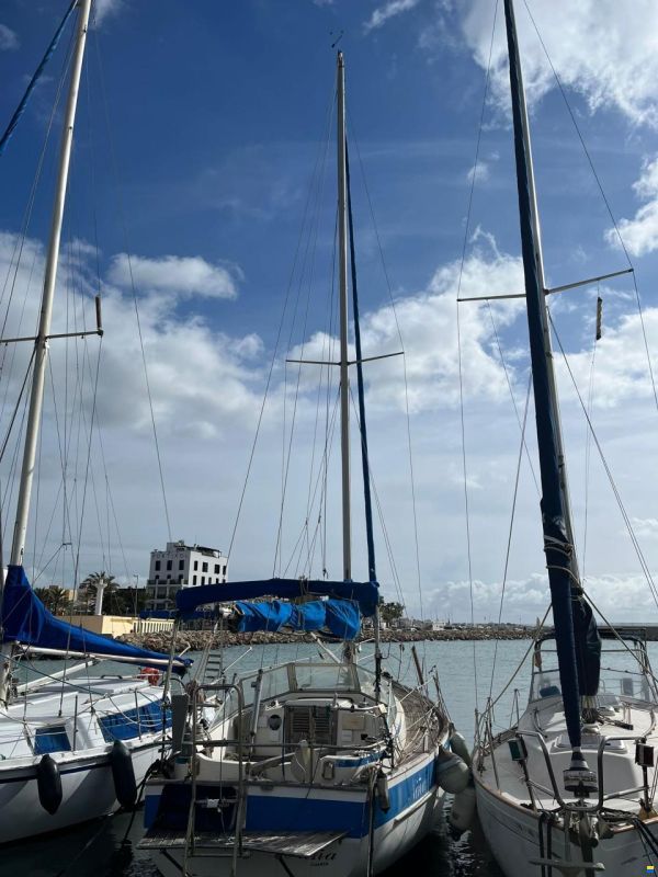 Hallberg-Rassy 31