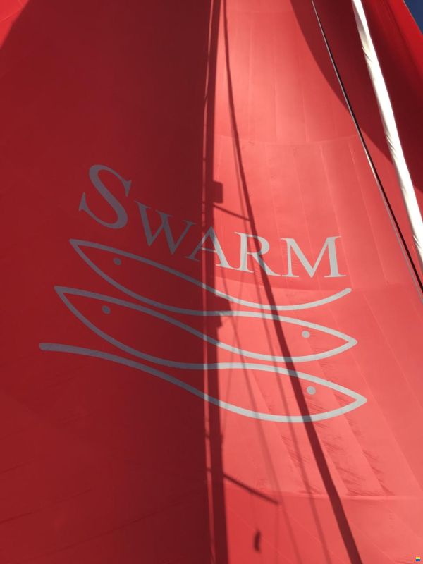 asymmetrischer Spinnaker