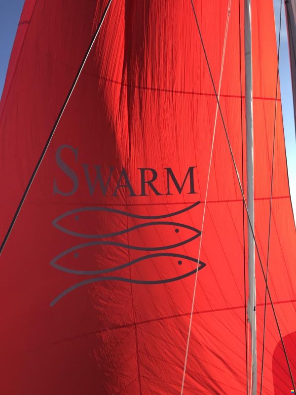 asymmetrischer Spinnaker