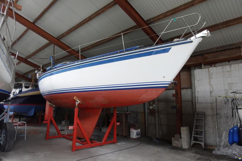 Kalik 33