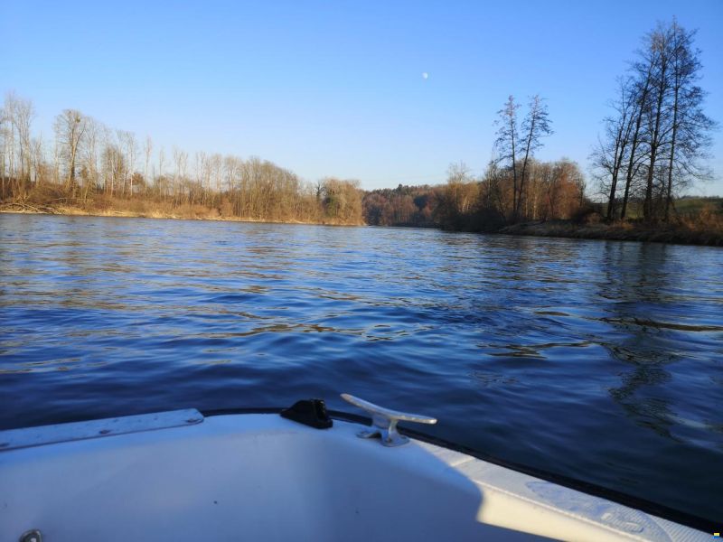 Dell Quay Clubman 13