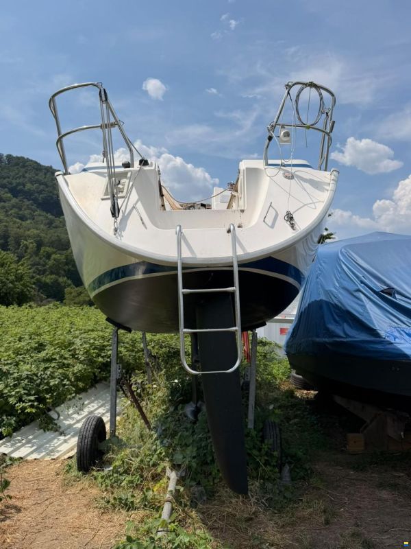 Bavaria 29 Speed