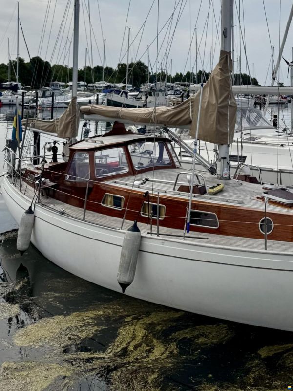 Vindö 50 MS