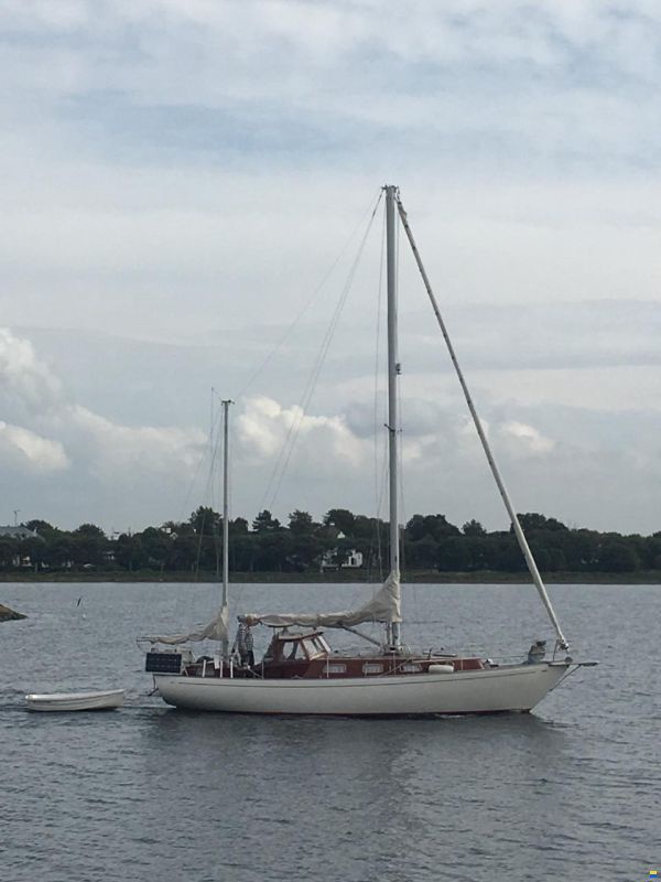 Vindö 50 MS