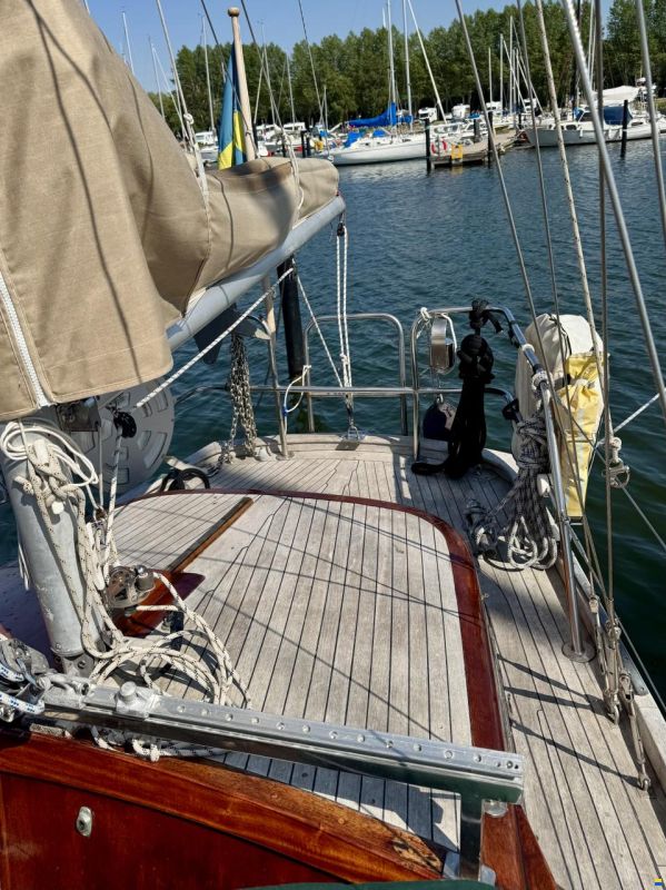 Vindö 50 MS