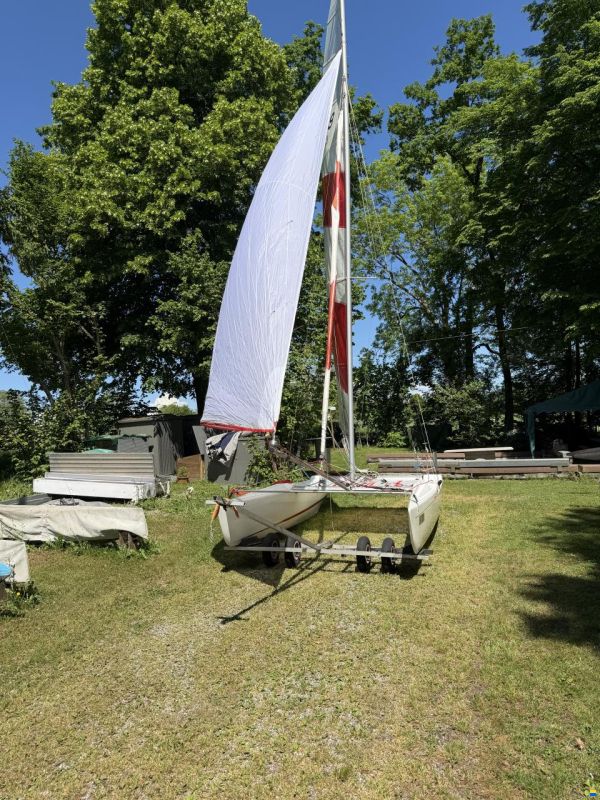 Topcat K1