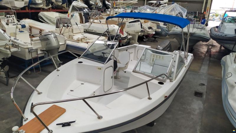 Bayliner Solo casco