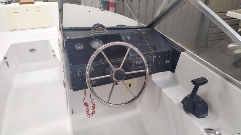Bayliner Solo casco