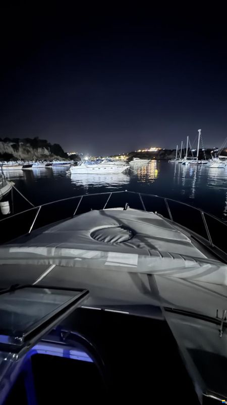 Regal 3350