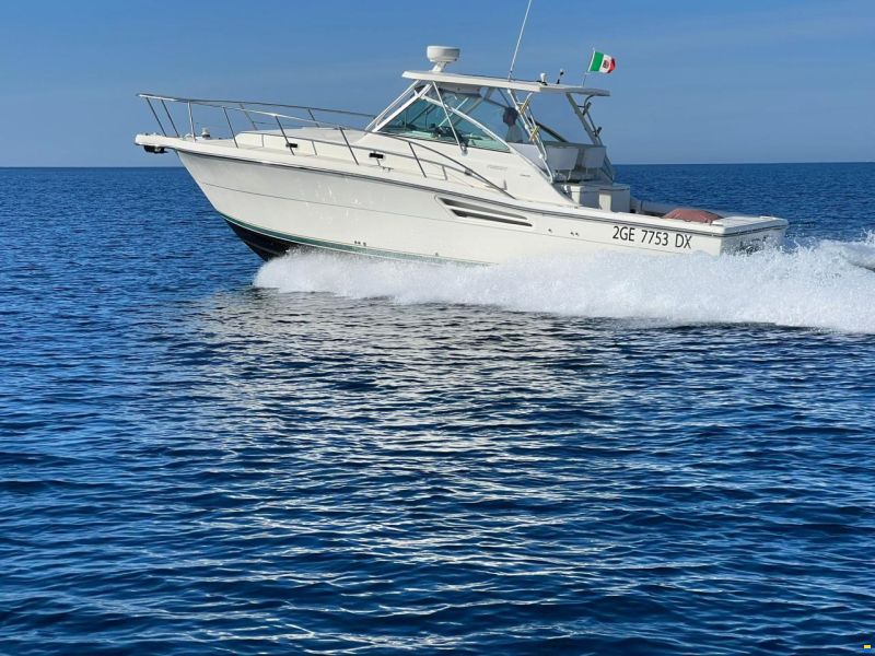 Pursuit 3400 express