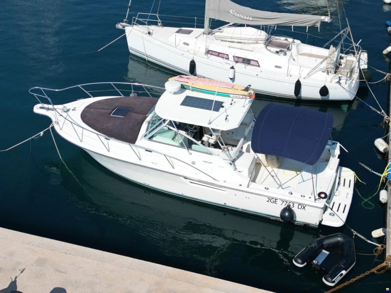 Pursuit 3400 express