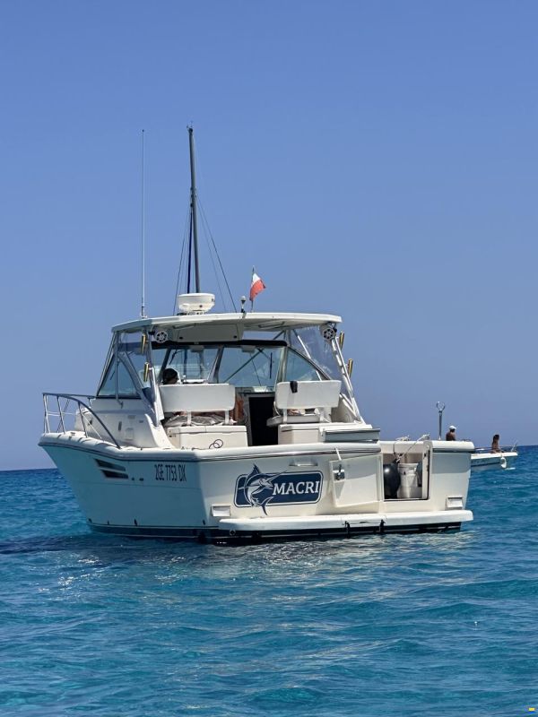 Pursuit 3400 express
