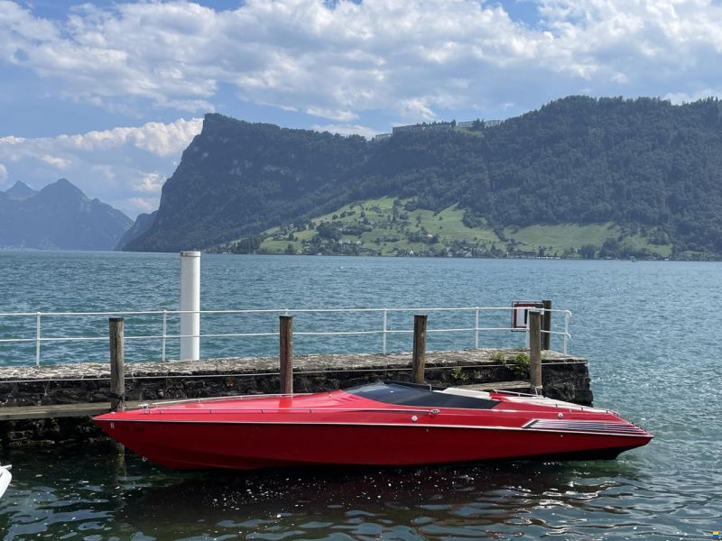 Wellcraft Scarab Exel 28