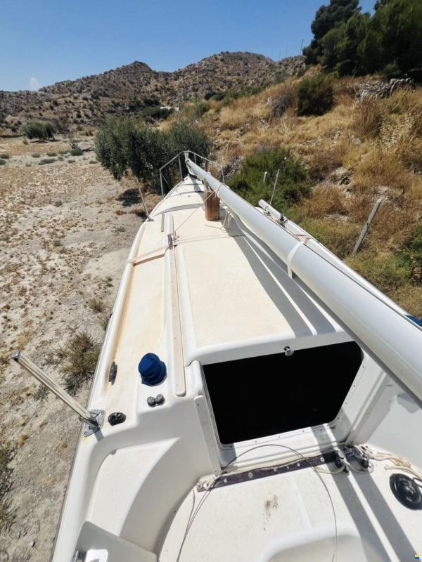 MacGregor 26M