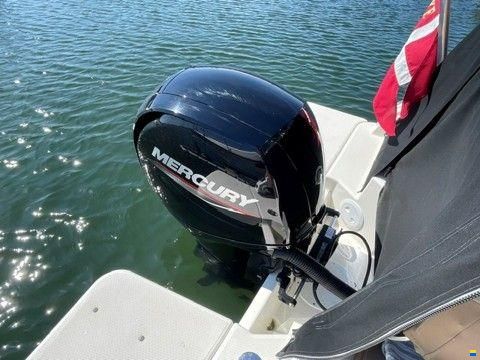 Quicksilver 675 Weekend med Mercury F150 EFI EXLPT 4