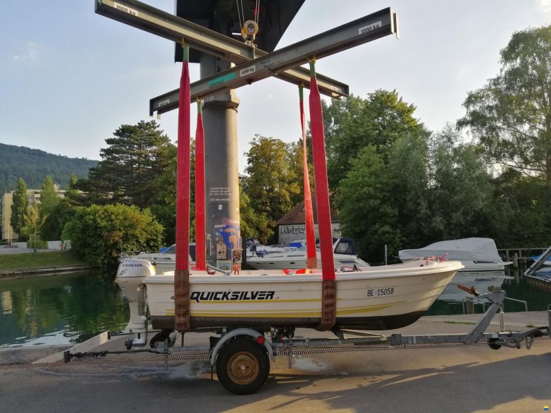 Quicksilver 440