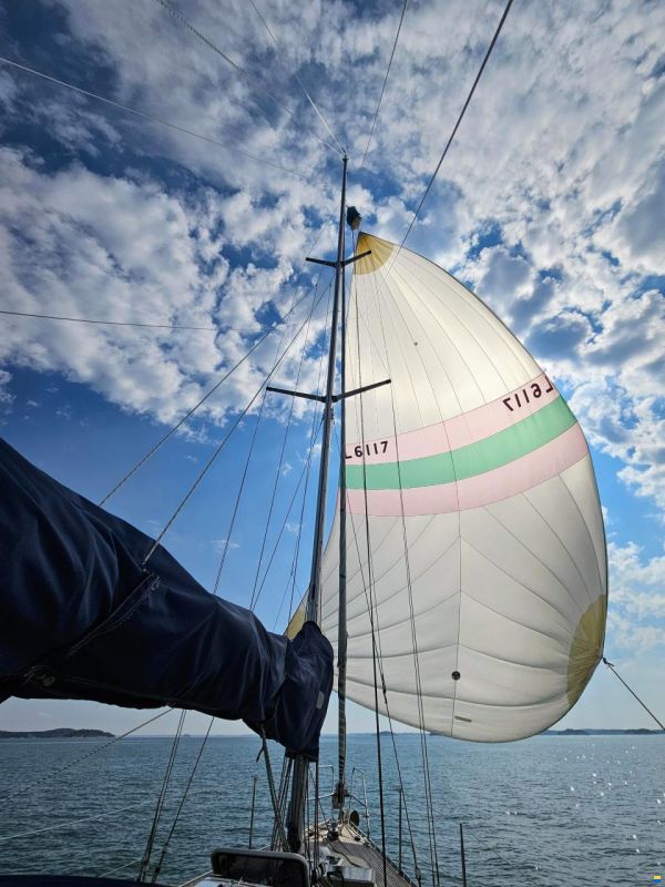Finngulf 36