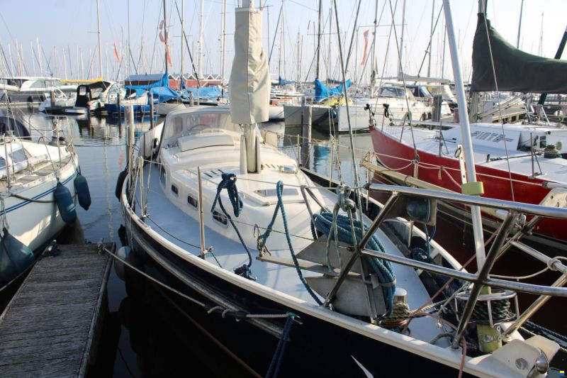Carena 35
