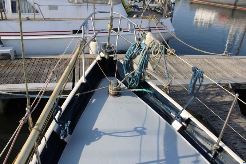 Carena 35