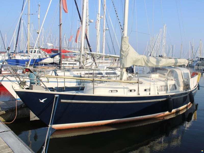 Carena 35