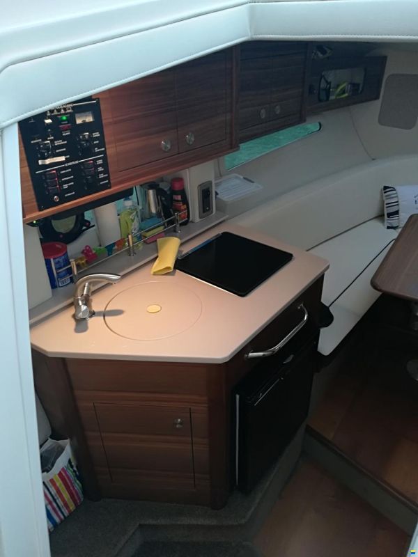 Sea Ray 265