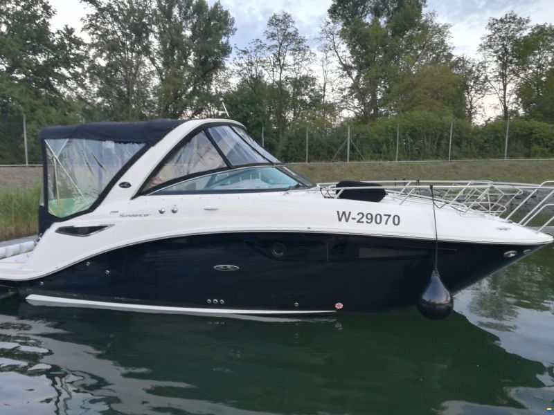 Sea Ray 265