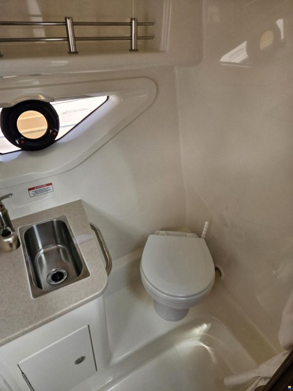 Sea Ray 265