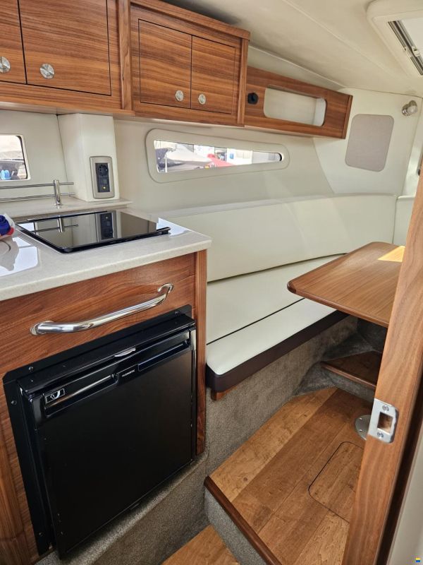 Sea Ray 265
