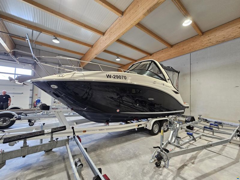 Sea Ray 265
