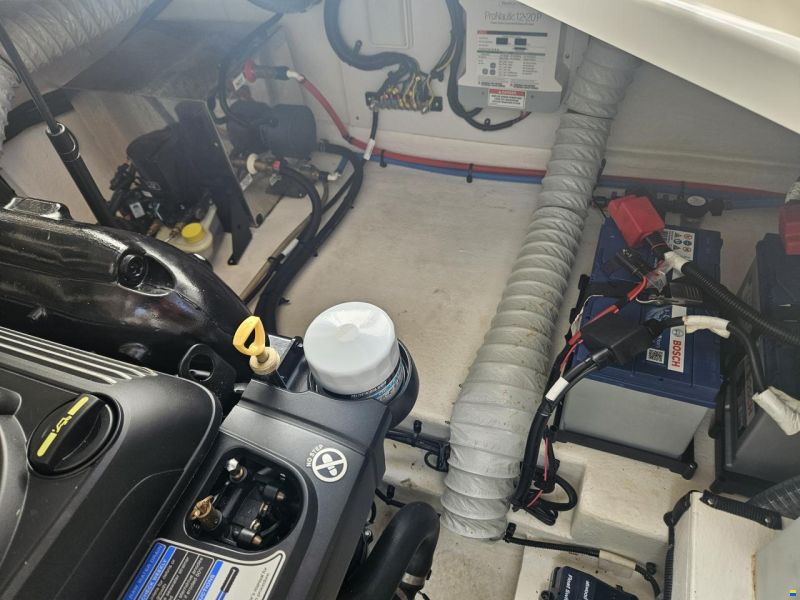 Sea Ray 265