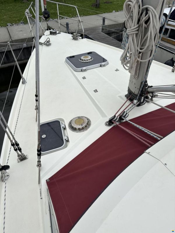 Moody Eclipse 33