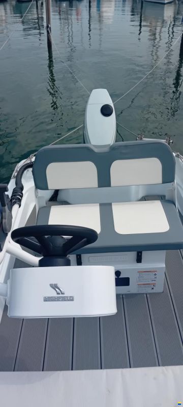 Boston Whaler 15