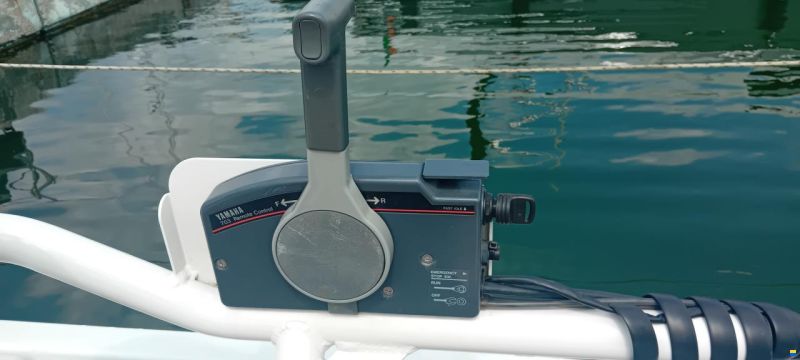 Boston Whaler 15