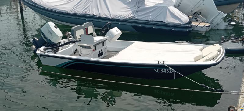 Boston Whaler 15