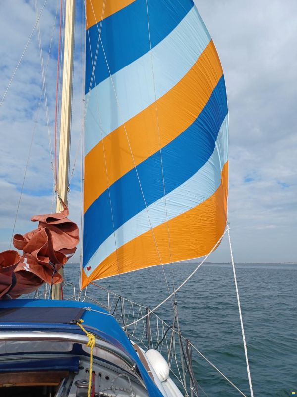 de Kloet Midget 26