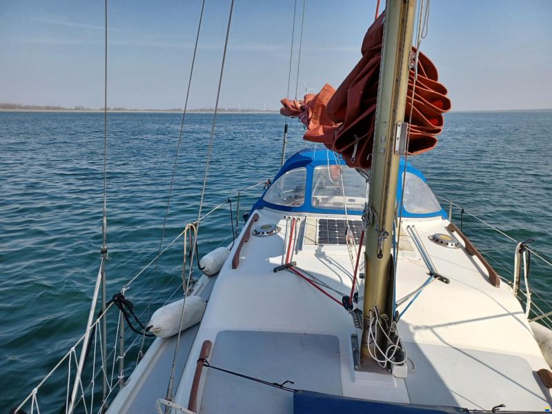 de Kloet Midget 26