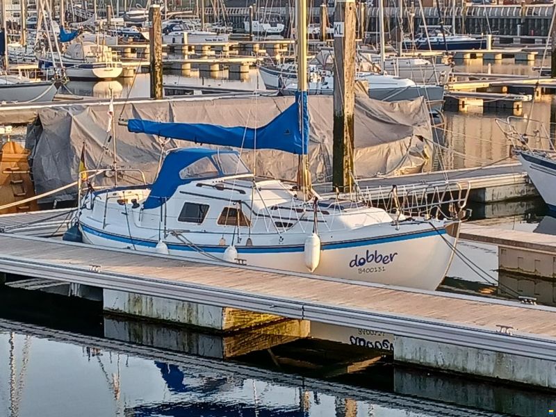 de Kloet Midget 26
