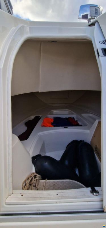 Bayliner Avanti 7